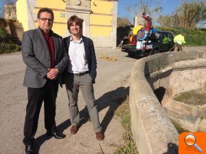 El tratamiento preventivo contra la mosca negra ya ha comenzado a aplicarse - (foto 3)