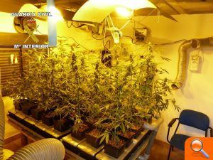 La Guardia Civil detiene a una persona por cultivo de marihuana en Castellón - (foto 2) La Guardia Civil detiene a una persona por cultivo de marihuana en Castellón - (foto 2)