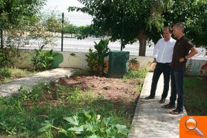 El Ayuntamiento de Almassora ofrece huertos escolares a todos los colegios de la localidad