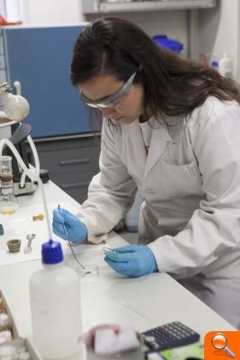 La UJI patenta nuevos catalizadores basados en grafeno de interés para la industria energética - (foto 2) La UJI patenta nuevos catalizadores basados en grafeno de interés para la industria energética - (foto 2)