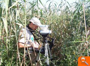 Investigadores de la UMH emplean la teledetección para solventar los problemas de aridez del Parque Natural de El Hondo