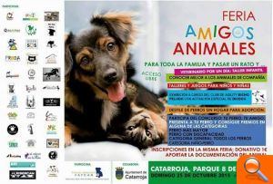 Catarroja organitza este cap de setmana la Nit Estellés, la Fira animalista i una patinada popular - (foto 3) Catarroja organitza este cap de setmana la Nit Estellés, la Fira animalista i una patinada popular - (foto 3)