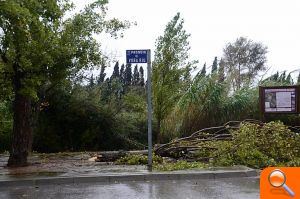 Almassora sufre los efectos del temporal - (foto 5) Almassora sufre los efectos del temporal - (foto 5)