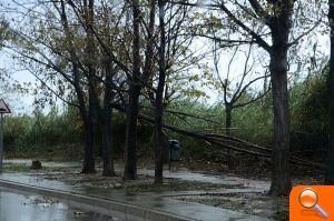 Almassora sufre los efectos del temporal - (foto 6) Almassora sufre los efectos del temporal - (foto 6)