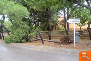 Almassora sufre los efectos del temporal - (foto 9) Almassora sufre los efectos del temporal - (foto 9)