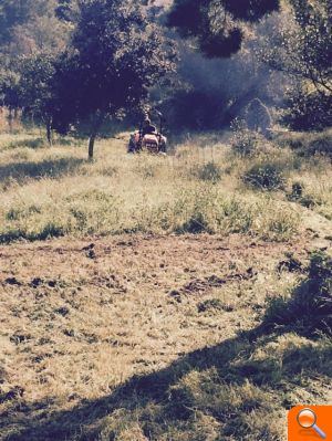 El ayuntamiento realiza trabajos de limpieza, mantenimiento y acondicionamiento en la Calle Oviedo - (foto 3)
