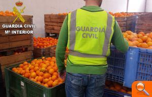 La Guardia Civil esclarece la sustracción de más de 84.000 kilos de naranja