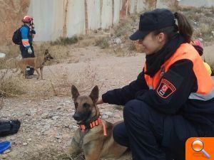 La Diputación participa en las II Jornadas Cinológicas de Búsqueda y Rescate a través del Consorcio Provincial de Bomberos