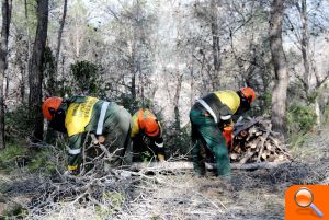 Las brigadas de la Diputación de Valencia se integran en la Mesa autonómica de Coordinación de Trabajos Forestales