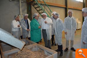 Pinoso solicita ayuda a la Conselleria para aumentar la capacidad de almacenamiento de agua para regadío   - (foto 4)