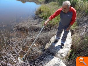 Cabanes adopta medidas para el monitoreo y control del mosquito tigre