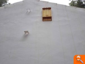 Una murciélago puede consumir hasta 3.000 mosquitos en una sola noche  - (foto 3)