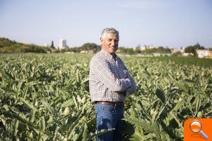 La campaña de Alcachofa DO se cierra con 1.200.000 kg comercializados