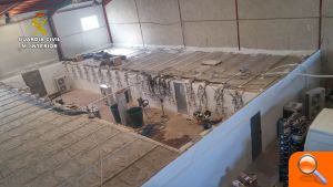 La Guardia Civil desmantela un laboratorio ultramoderno incautando un millar de plantas de marihuana en Almoradí - (foto 2)