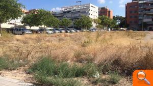 Compromís demana la neteja del solar del carrer Poeta Alberti de Santa Gemma  - (foto 2)