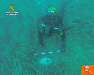 La Guardia Civil investiga la aparición de unos restos óseos humanos aparecidos en aguas de Calpe - (foto 3) La Guardia Civil investiga la aparición de unos restos óseos humanos aparecidos en aguas de Calpe - (foto 3)