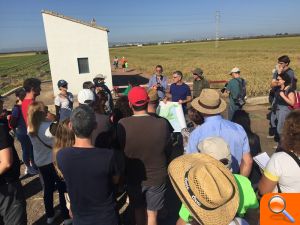 Un centenar de persones participen en l'activitat organitzada pel servici Devesa-Albufera sobre la collita de l'arròs - (foto 2)