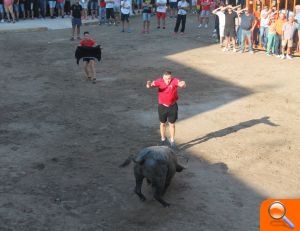 Almenara s'ompli per a gaudir de les exhibicions taurines - (foto 2) Almenara s'ompli per a gaudir de les exhibicions taurines - (foto 2)