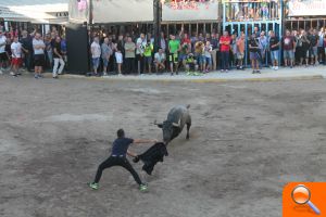 Almenara s'ompli per a gaudir de les exhibicions taurines - (foto 5) Almenara s'ompli per a gaudir de les exhibicions taurines - (foto 5)