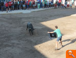 Almenara s'ompli per a gaudir de les exhibicions taurines - (foto 7) Almenara s'ompli per a gaudir de les exhibicions taurines - (foto 7)