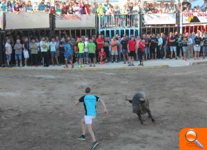 Almenara s'ompli per a gaudir de les exhibicions taurines - (foto 8) Almenara s'ompli per a gaudir de les exhibicions taurines - (foto 8)