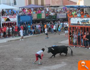 Almenara s'ompli per a gaudir de les exhibicions taurines - (foto 9) Almenara s'ompli per a gaudir de les exhibicions taurines - (foto 9)