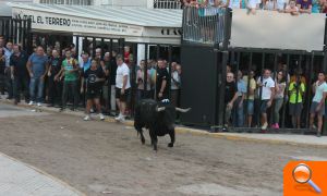 Almenara s'ompli per a gaudir de les exhibicions taurines - (foto 11) Almenara s'ompli per a gaudir de les exhibicions taurines - (foto 11)