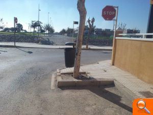 La Junta de Gobierno Local aprueba el proyecto para mejorar y acondicionar los alcorques en Torre de la Horadada - (foto 2) La Junta de Gobierno Local aprueba el proyecto para mejorar y acondicionar los alcorques en Torre de la Horadada - (foto 2)