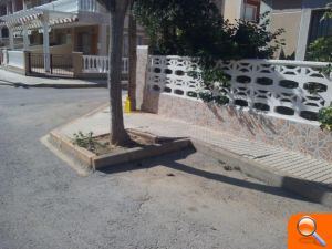 La Junta de Gobierno Local aprueba el proyecto para mejorar y acondicionar los alcorques en Torre de la Horadada - (foto 3) La Junta de Gobierno Local aprueba el proyecto para mejorar y acondicionar los alcorques en Torre de la Horadada - (foto 3)