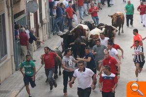 Fervor en la primera ofrena a la Mare de Déu del Roser  - (foto 6)