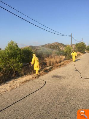 La concejalía de Parques y Jardines comienza la fumigación en todo el municipio contra la procesionaria - (foto 2) La concejalía de Parques y Jardines comienza la fumigación en todo el municipio contra la procesionaria - (foto 2)