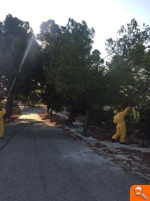 La concejalía de Parques y Jardines comienza la fumigación en todo el municipio contra la procesionaria - (foto 3) La concejalía de Parques y Jardines comienza la fumigación en todo el municipio contra la procesionaria - (foto 3)