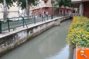 Vila-real actuará en el entorno de la Glorieta 20 de Febrero para mejorar algunos puntos del área - (foto 2) Vila-real actuará en el entorno de la Glorieta 20 de Febrero para mejorar algunos puntos del área - (foto 2)