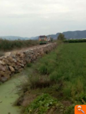 Almenara realitza obres de millora en la marjal - (foto 7)