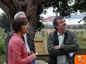 Finalizan las obras de recuperación ambiental del entorno de la Torre Muza de Benifaió - (foto 3) Finalizan las obras de recuperación ambiental del entorno de la Torre Muza de Benifaió - (foto 3)