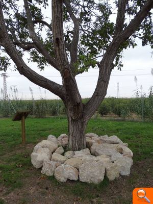 Finalizan las obras de recuperación ambiental del entorno de la Torre Muza de Benifaió - (foto 4) Finalizan las obras de recuperación ambiental del entorno de la Torre Muza de Benifaió - (foto 4)