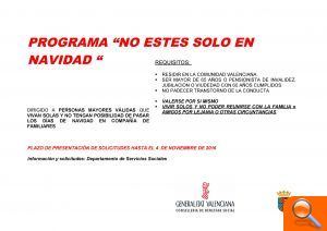 Cap persona major sola durant els Nadals - (foto 2)