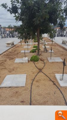 Rotglà construeix una nova zona annexa al cementeri municipal - (foto 2)