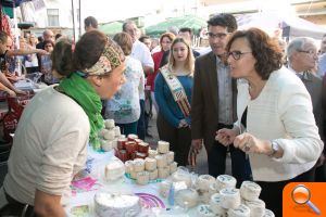 Jorge Rodríguez: “La Diputació ajudarà a Vallada a eixir de la difícil situació econòmica heretada” - (foto 7)