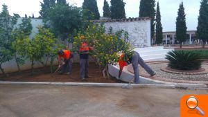 El Ayuntamiento prepara el cementerio municipal de cara a la festividad de Todos los Santos