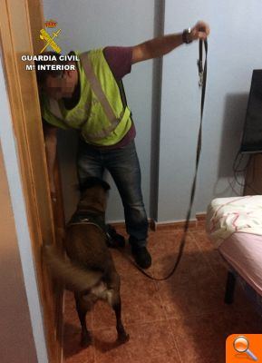La Guardia Civil detiene a una peligrosa organización criminal dedicada a cometer atracos y robos con violencia - (foto 5) La Guardia Civil detiene a una peligrosa organización criminal dedicada a cometer atracos y robos con violencia - (foto 5)