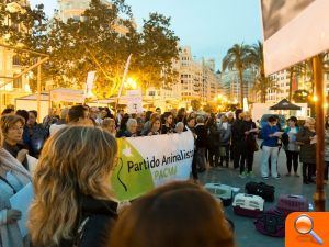 200 persones exigeixen a la Regidoria de Benestar Animal accions reals en la defensa de les colònies de gats - (foto 2) 200 persones exigeixen a la Regidoria de Benestar Animal accions reals en la defensa de les colònies de gats - (foto 2)
