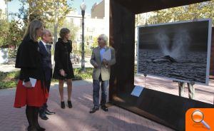 Castellón saca a la calle la obra del prestigioso fotógrafo Sebastião Salgado - (foto 2) Castellón saca a la calle la obra del prestigioso fotógrafo Sebastião Salgado - (foto 2)