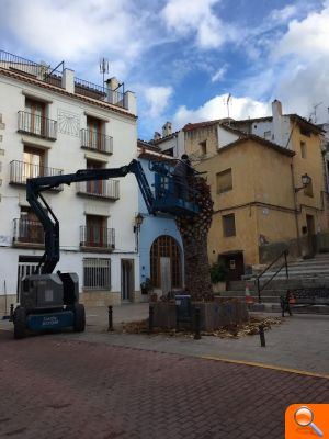 Les Coves de Vinromà inicia un tratamiento contra el picudo rojo para salvar la palmera de la Plaça del Mercat - (foto 2)