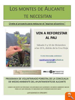Medio Ambiente y Repoblautóctona inician mañana y el sábado la plantación para restaurar el espinar alicantino en el PAUII - (foto 2)