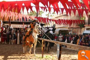 La Fira de Sant Andreu d'Almassora encara el cap de setmana amb prop de 50 actes programats a la Vila - (foto 5)