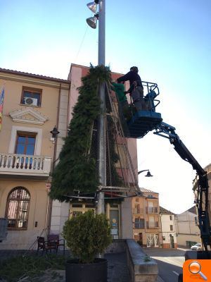 Les Coves de Vinromà instal·la l'arbre de Nadal en la Plaça Espanya - (foto 2)
