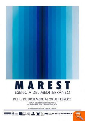 Antonyo Marest exhibe en la Lonja su transición del arte urbano al contemporáneo      - (foto 4)