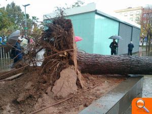 Continua l'alerta groga per pluges i l'alerta taronja en el litoral - (foto 4)