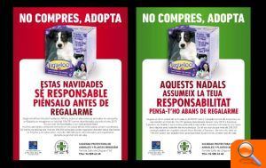 L'Alfàs promueve una campaña para fomentar la adopción de animales de compañía en Navidad - (foto 2) L'Alfàs promueve una campaña para fomentar la adopción de animales de compañía en Navidad - (foto 2)